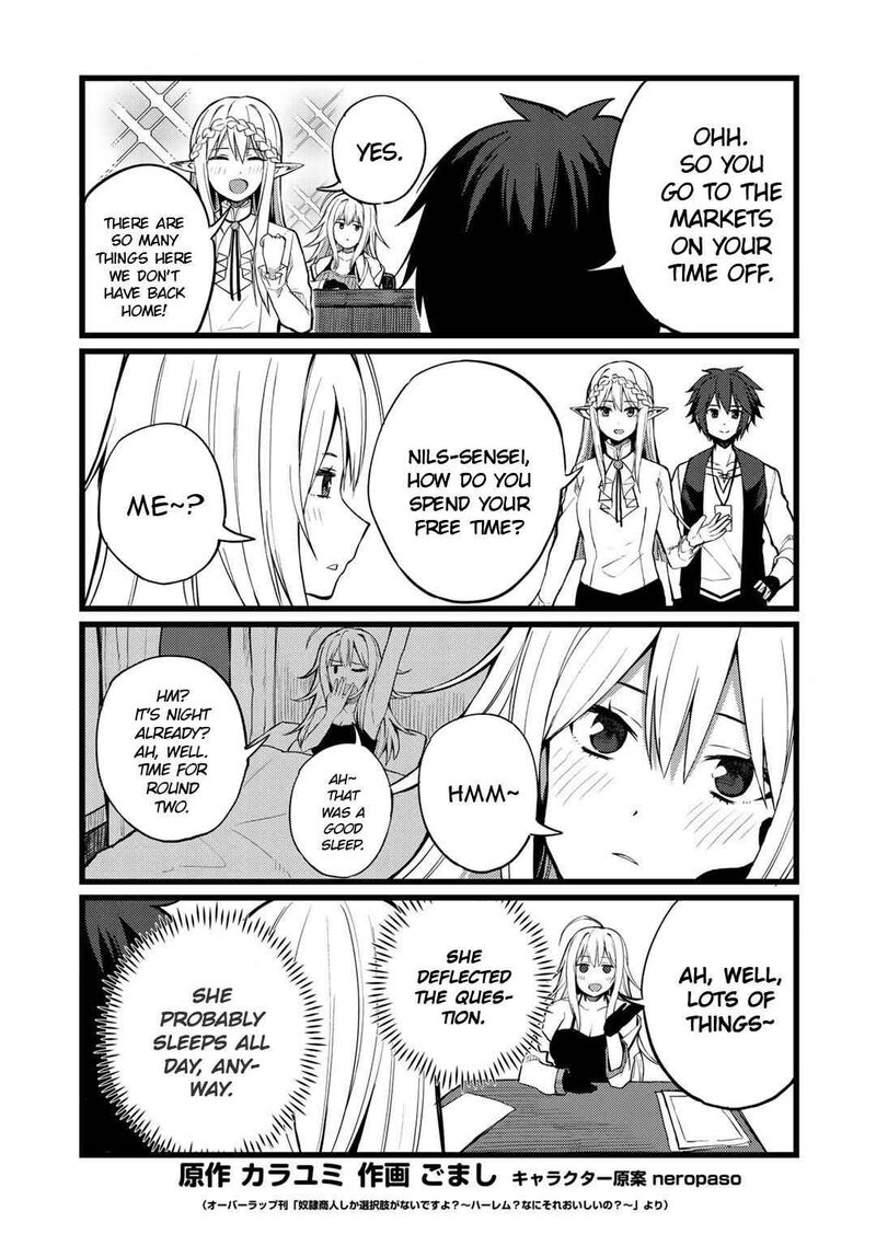 Dorei Shounin Shika Sentakushi Ga Nai Desu Yo Harem Nani Sore OishII No 19e 1