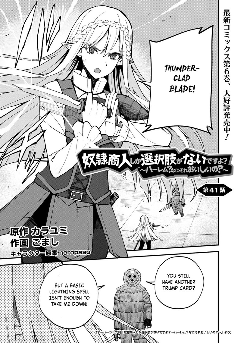 Dorei Shounin Shika Sentakushi Ga Nai Desu Yo Harem Nani Sore OishII No 41 1