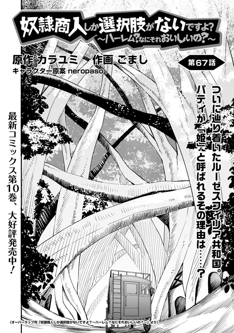 Dorei Shounin Shika Sentakushi Ga Nai Desu Yo Harem Nani Sore OishII No 67 3