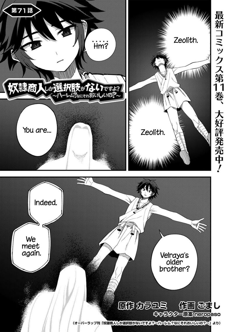 Dorei Shounin Shika Sentakushi Ga Nai Desu Yo Harem Nani Sore OishII No 71 2