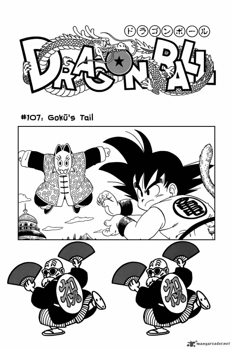 Dragon Ball 107 2