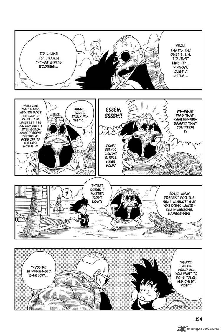 Dragon Ball 13 7