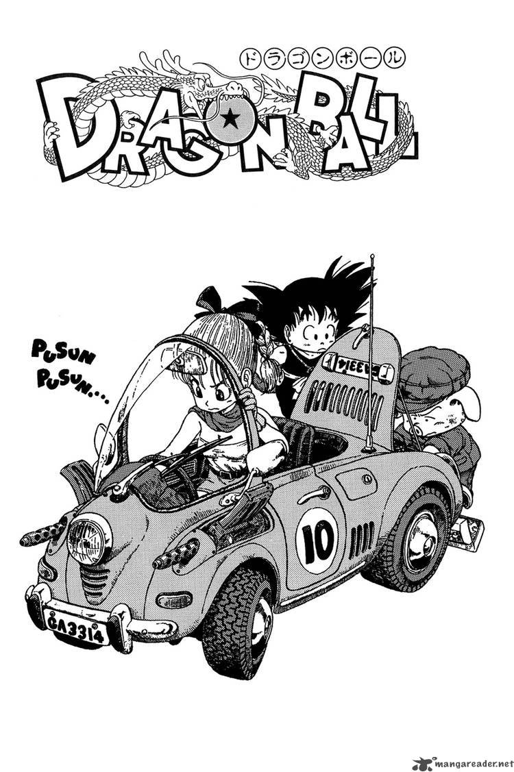 Dragon Ball 14 21