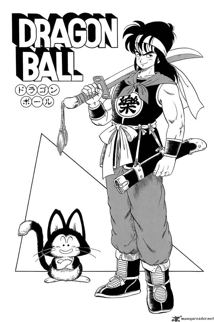 Dragon Ball 14 22