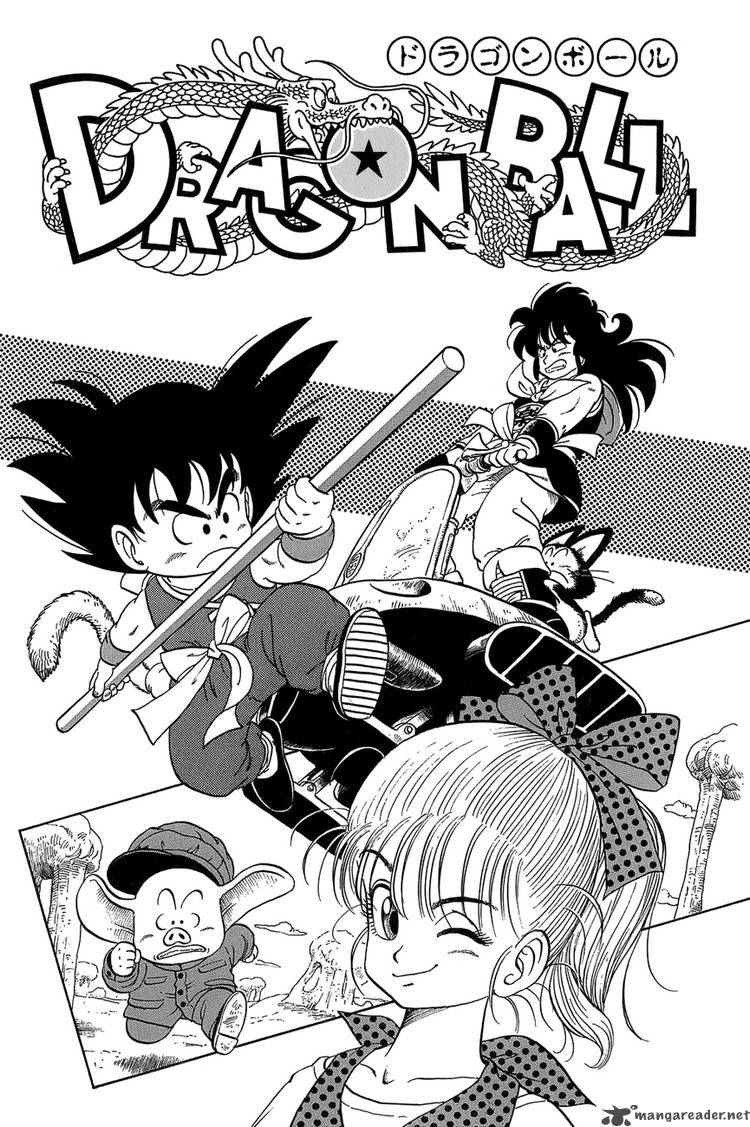 Dragon Ball 14 23