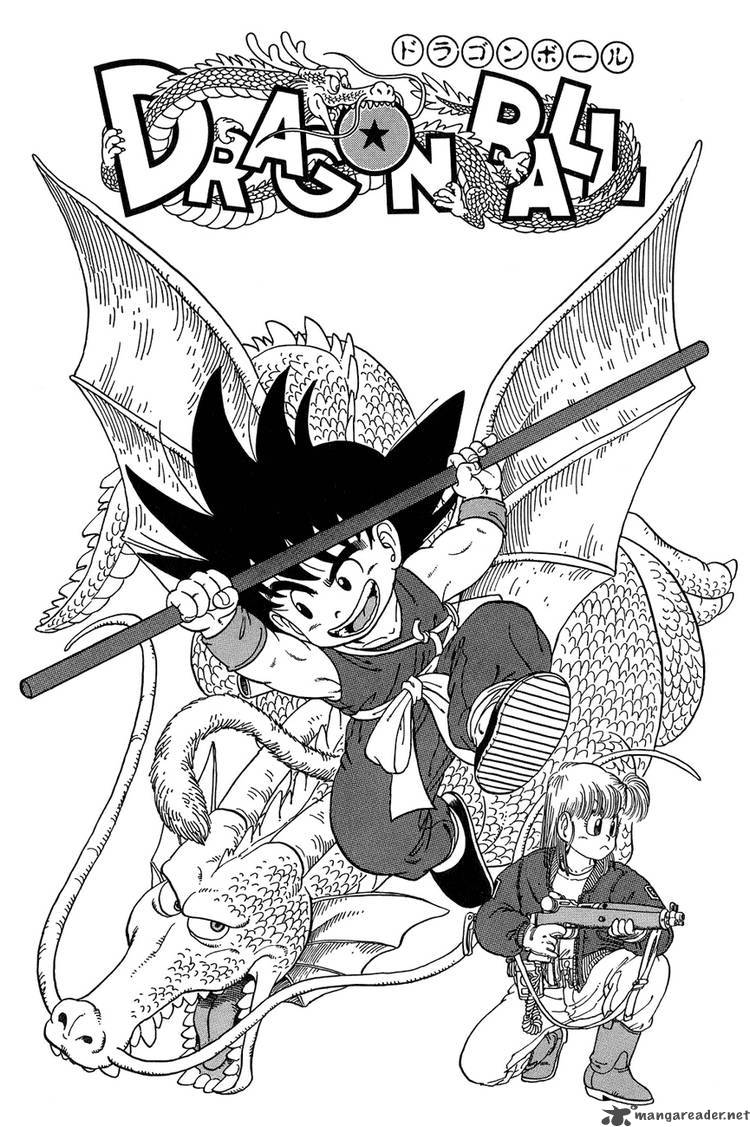 Dragon Ball 14 24