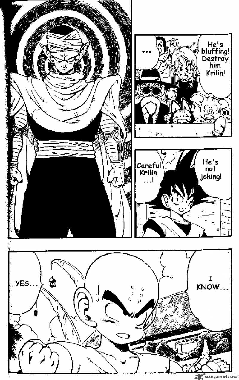 Dragon Ball 172 14