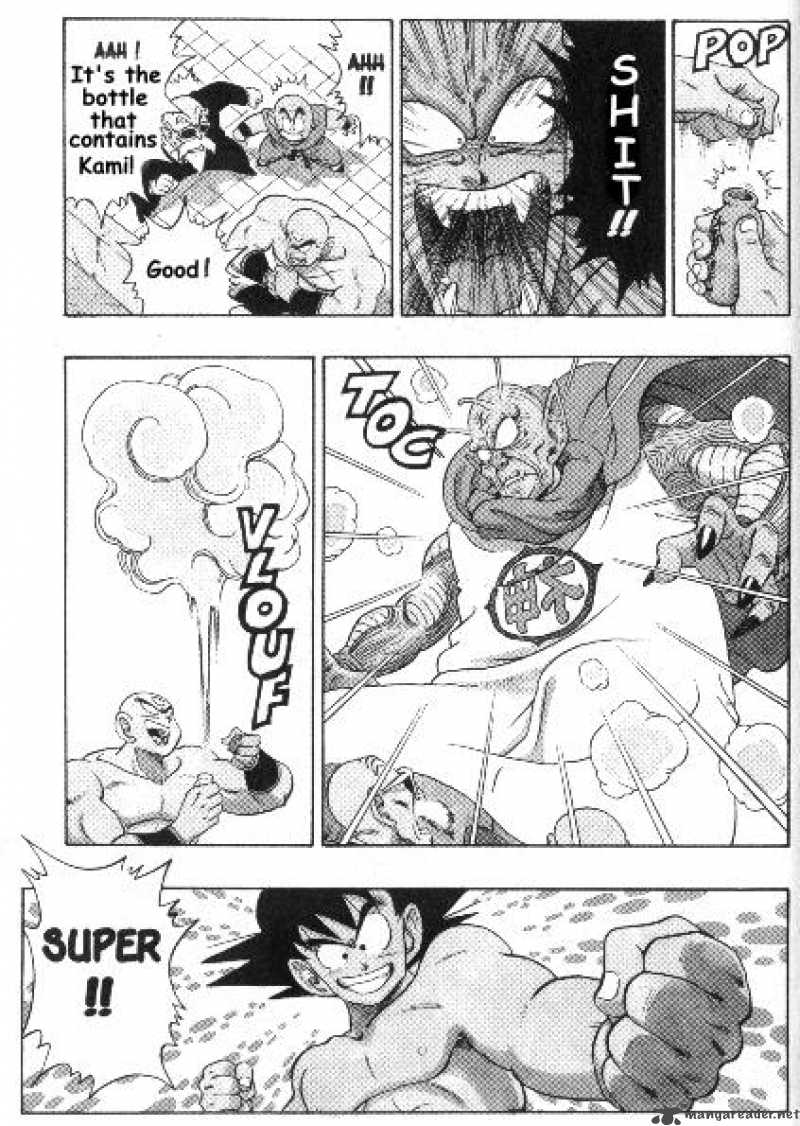 Dragon Ball 187 14