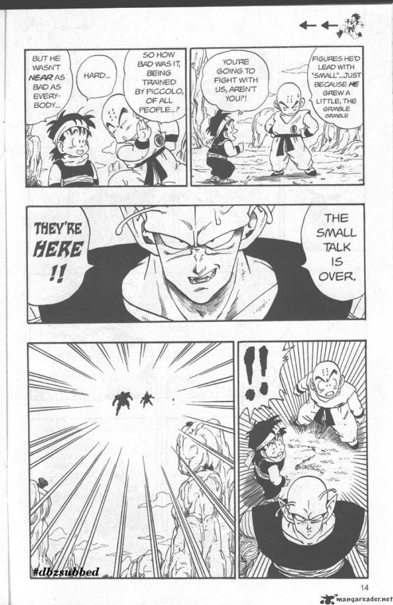 Dragon Ball 213 13