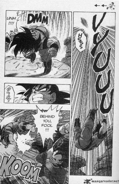 Dragon Ball 229 15