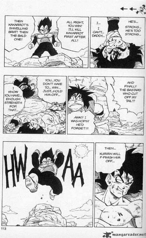 Dragon Ball 236 12