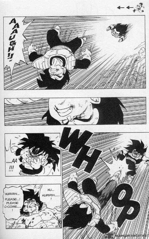 Dragon Ball 236 5