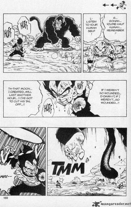 Dragon Ball 240 12