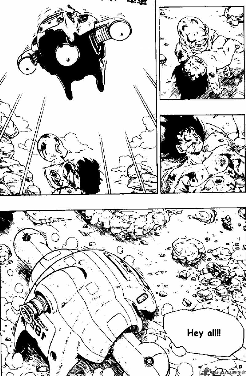 Dragon Ball 242 1