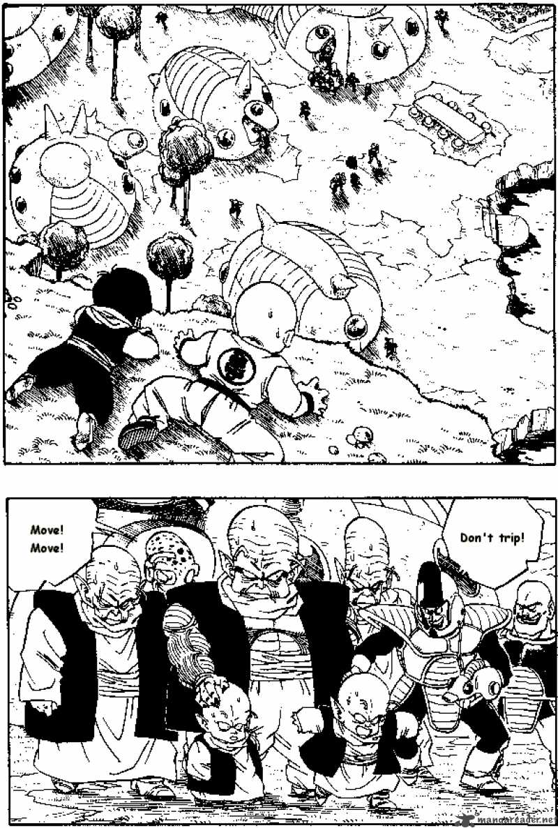 Dragon Ball 252 2