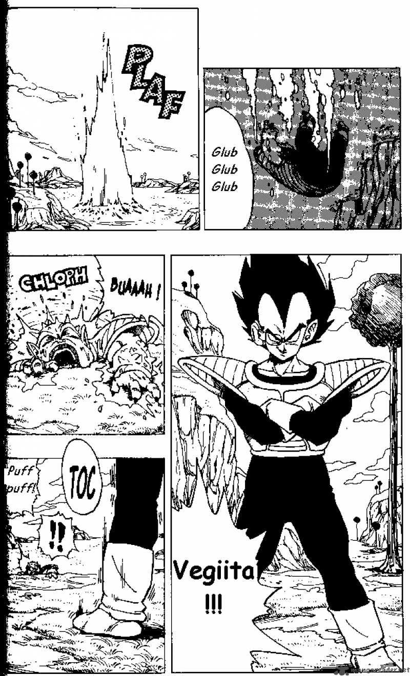 Dragon Ball 256 14