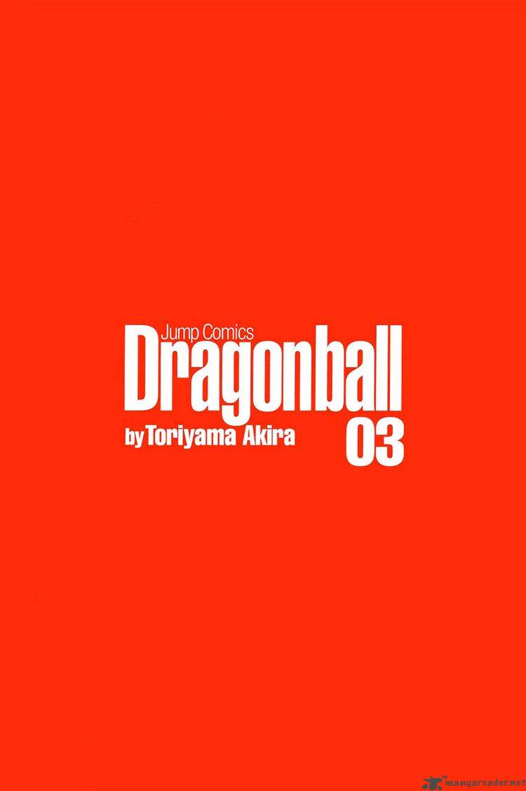 Dragon Ball 30 3