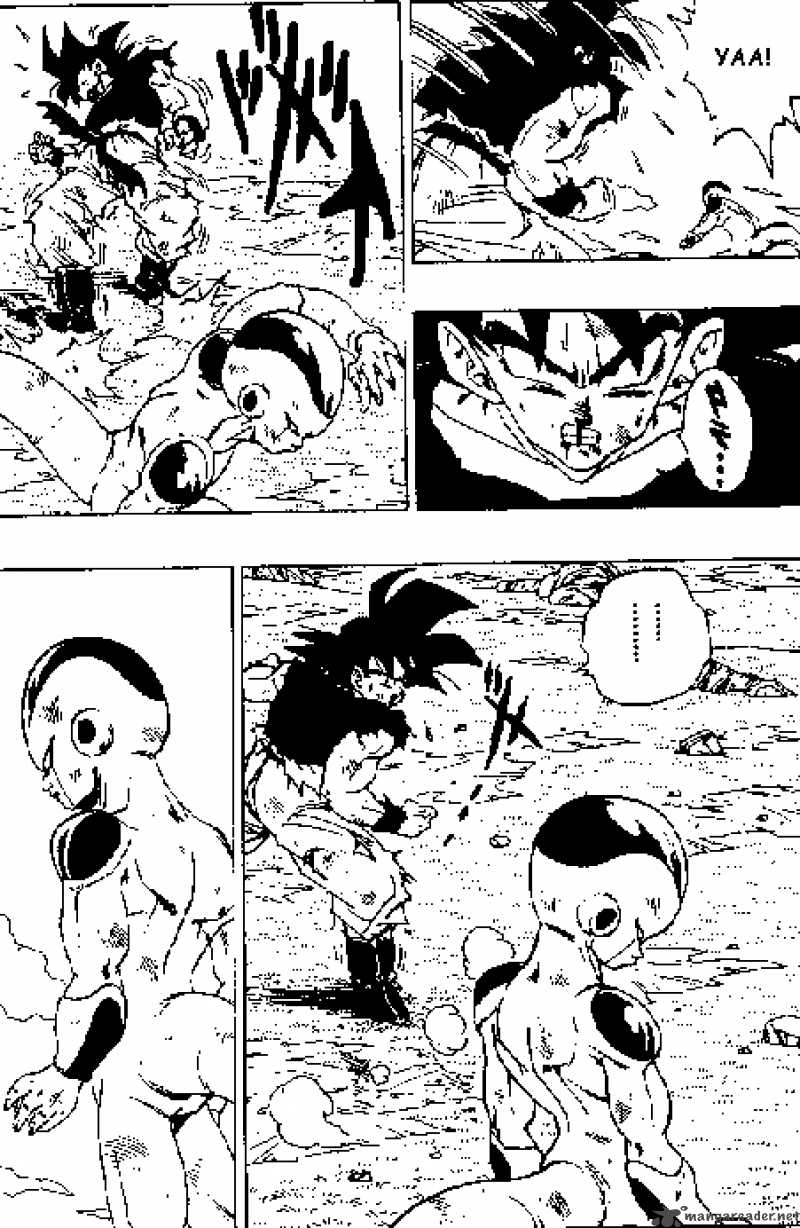 Dragon Ball 312 7