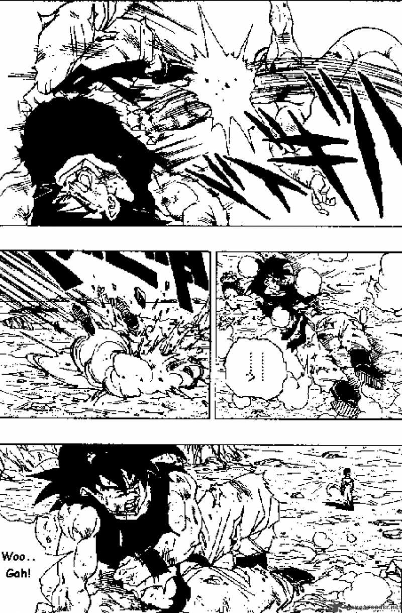 Dragon Ball 314 9