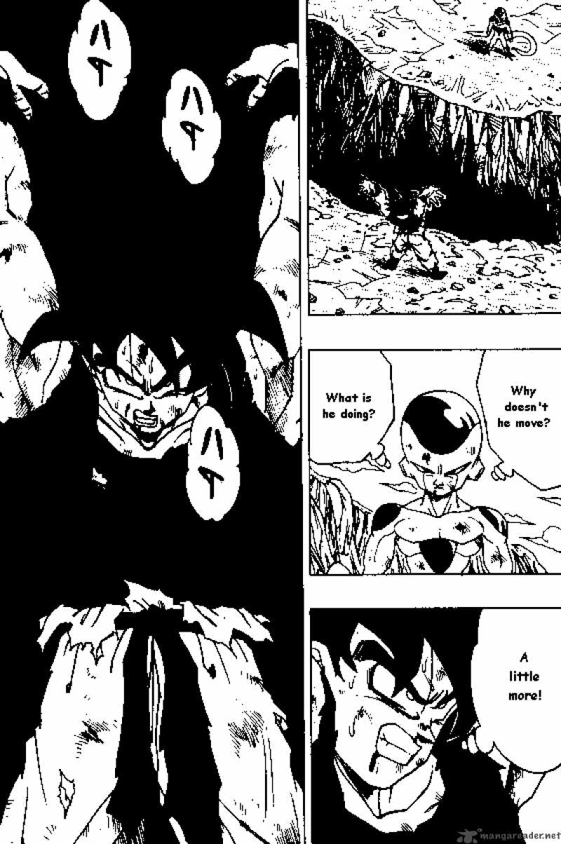 Dragon Ball 315 1