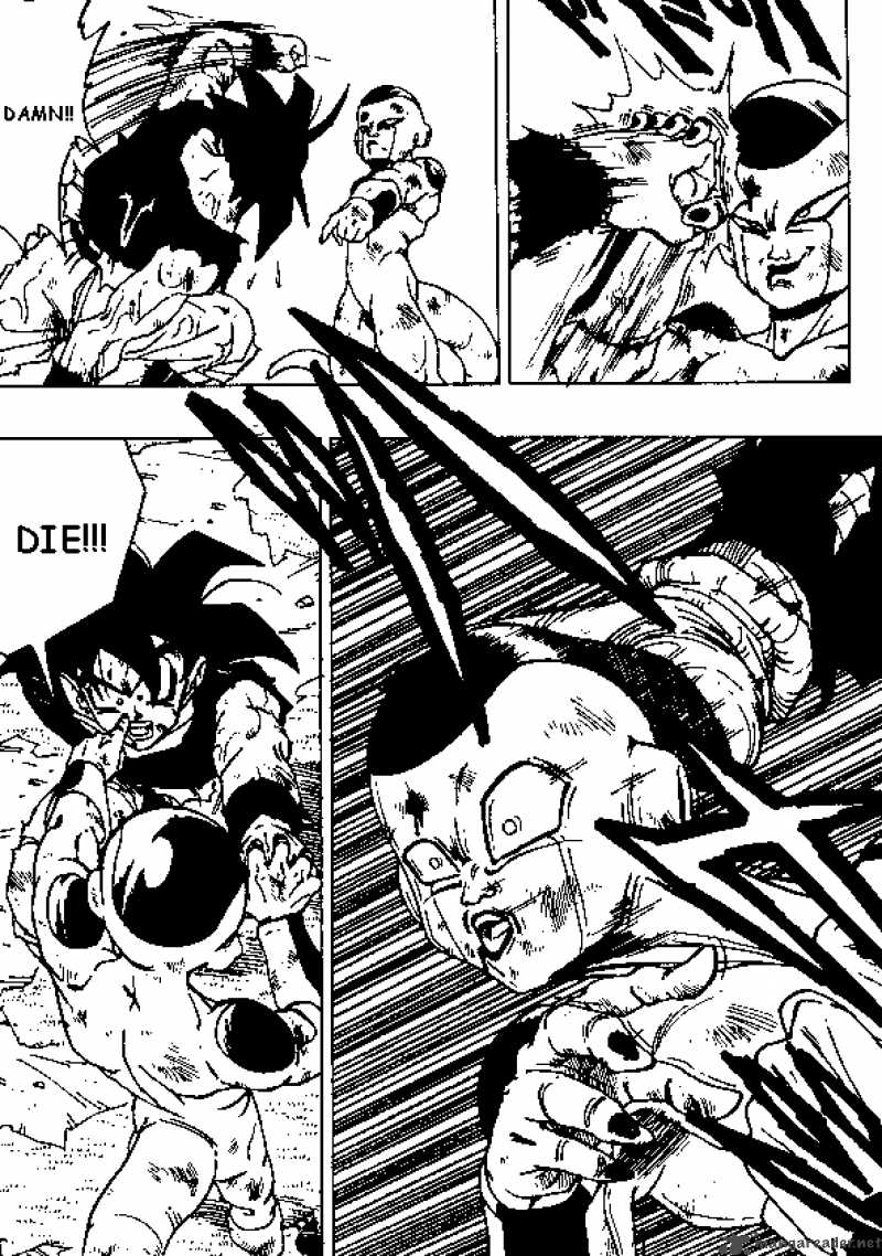 Dragon Ball 315 12