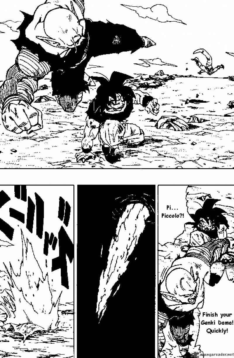 Dragon Ball 315 13