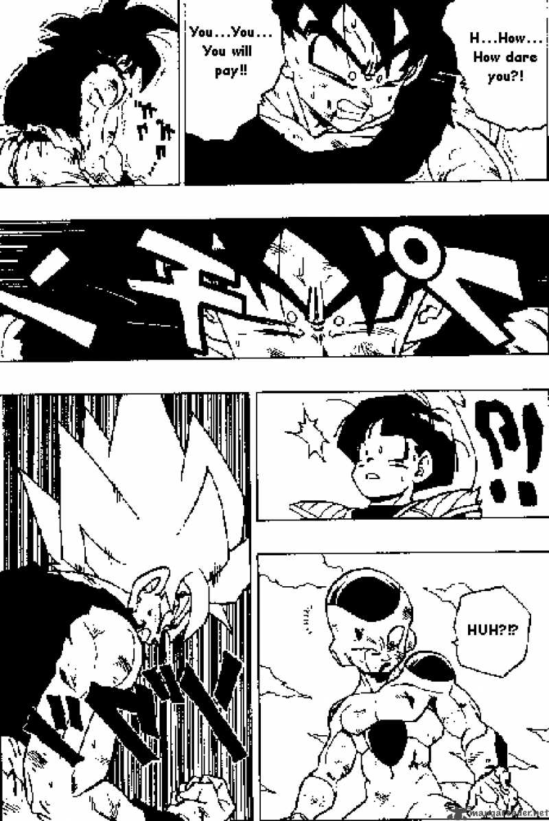 Dragon Ball 317 15