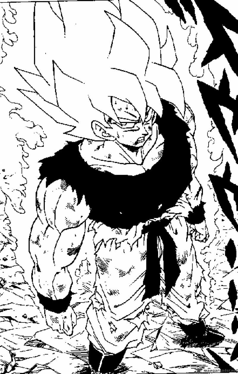 Dragon Ball 317 16