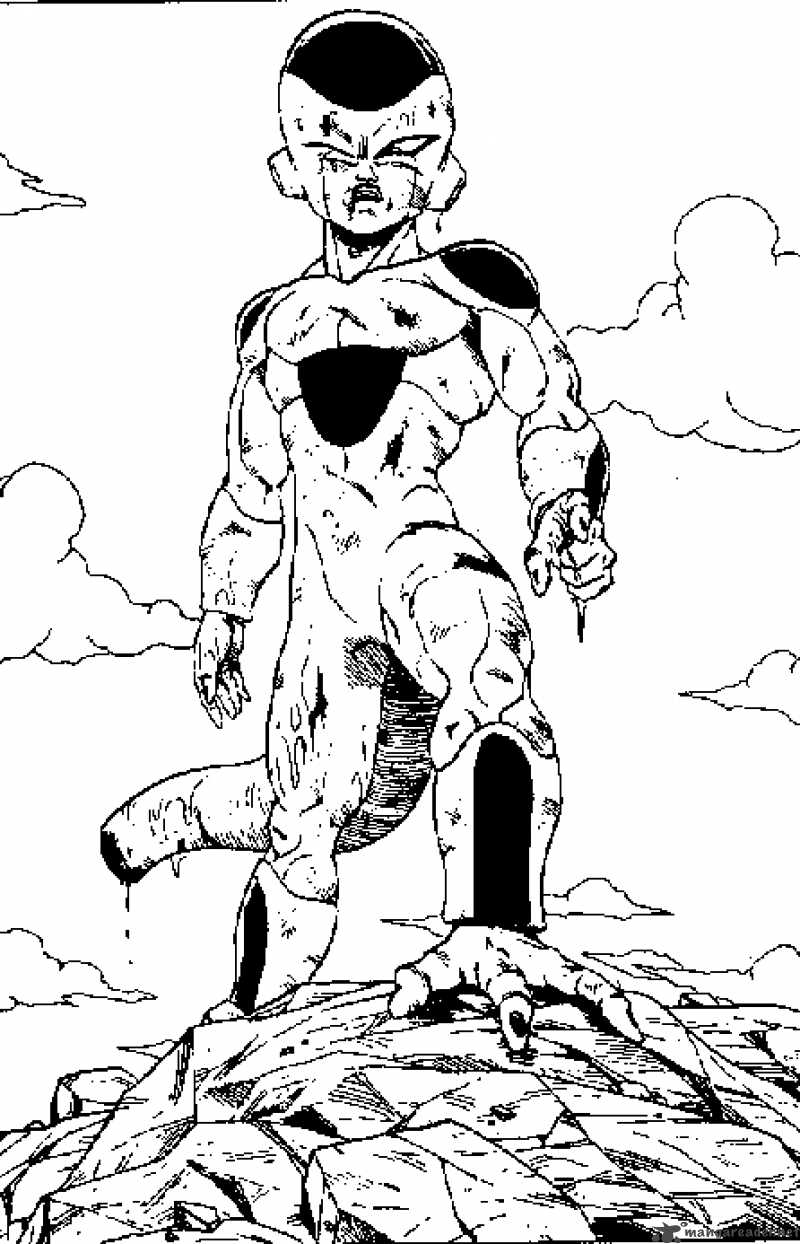 Dragon Ball 317 7