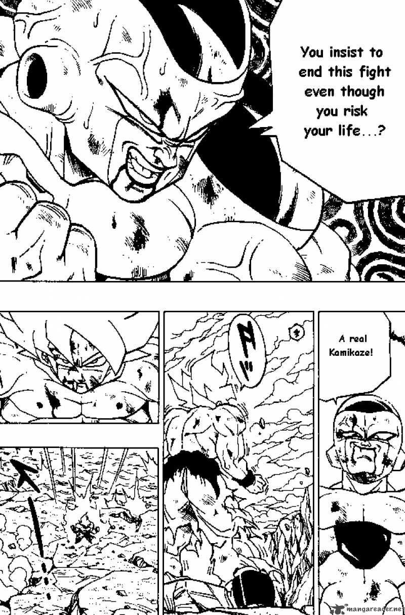 Dragon Ball 324 10