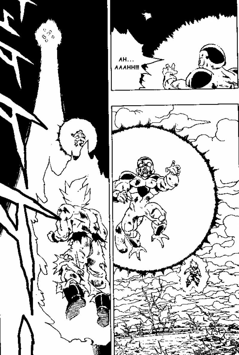 Dragon Ball 324 7