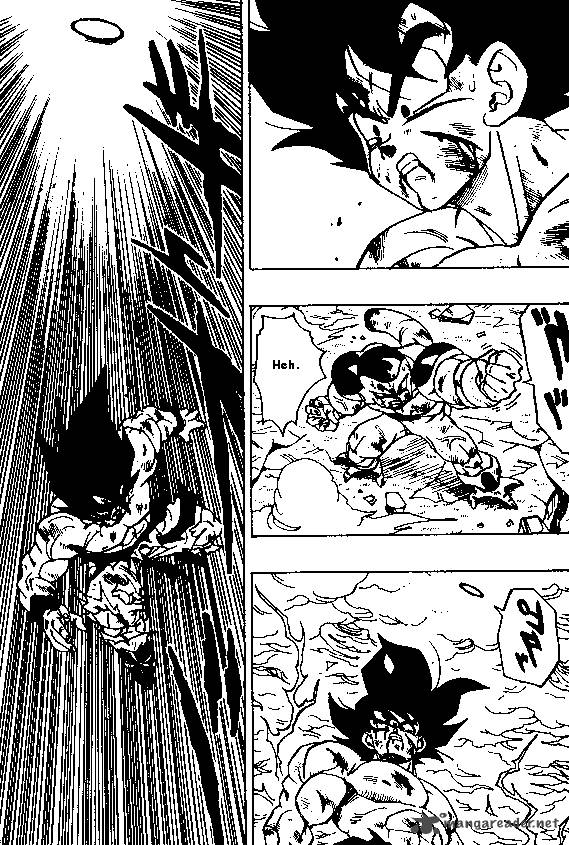 Dragon Ball 325 13