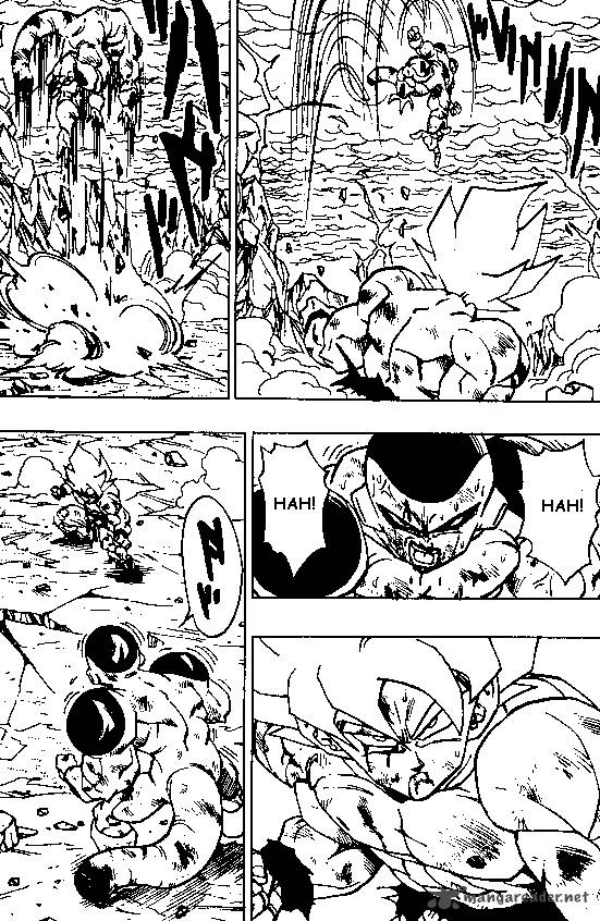 Dragon Ball 325 8