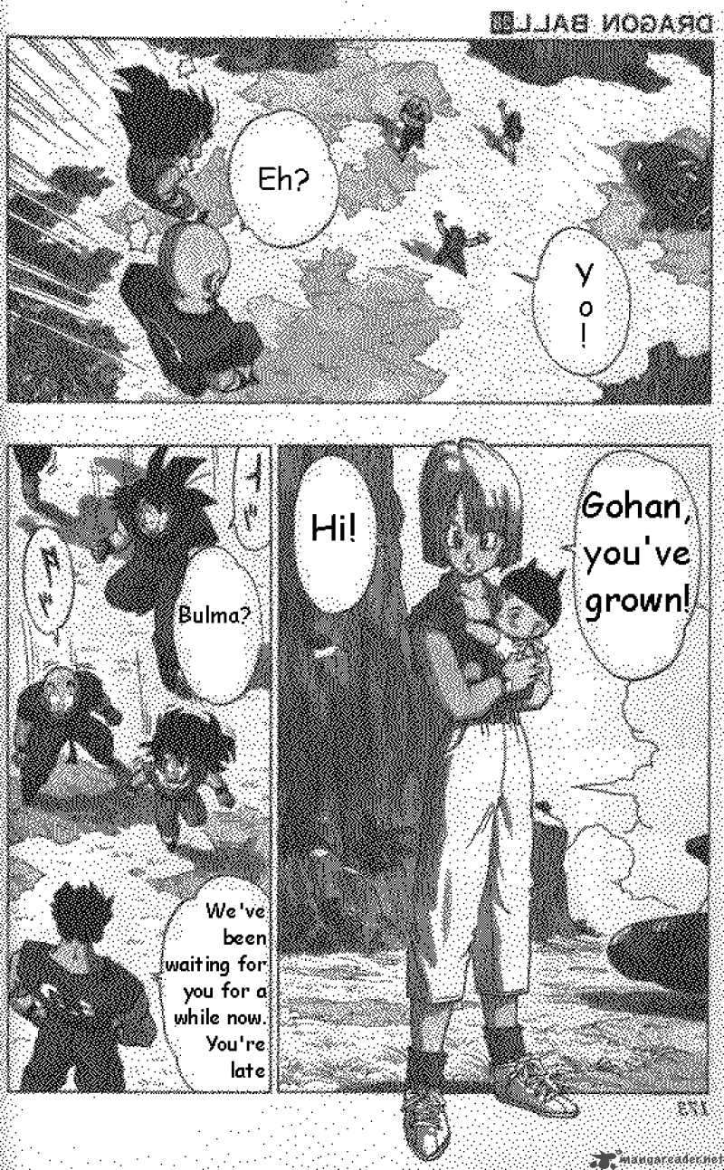 Dragon Ball 337 6