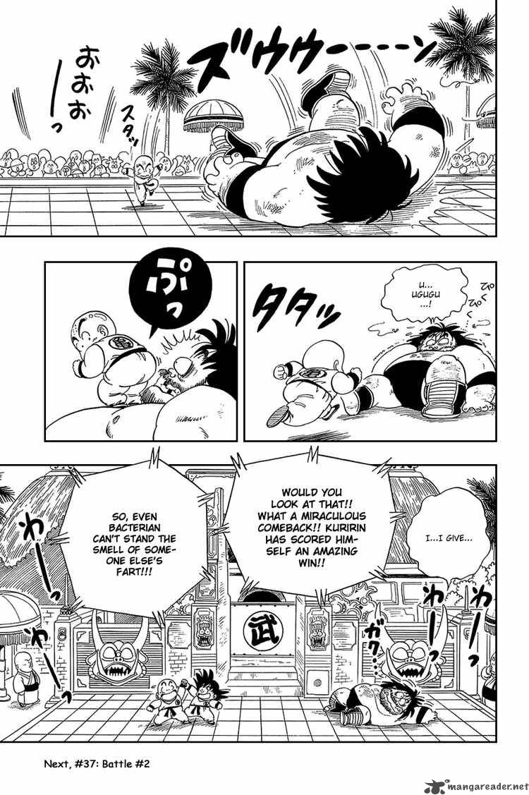 Dragon Ball 36 14