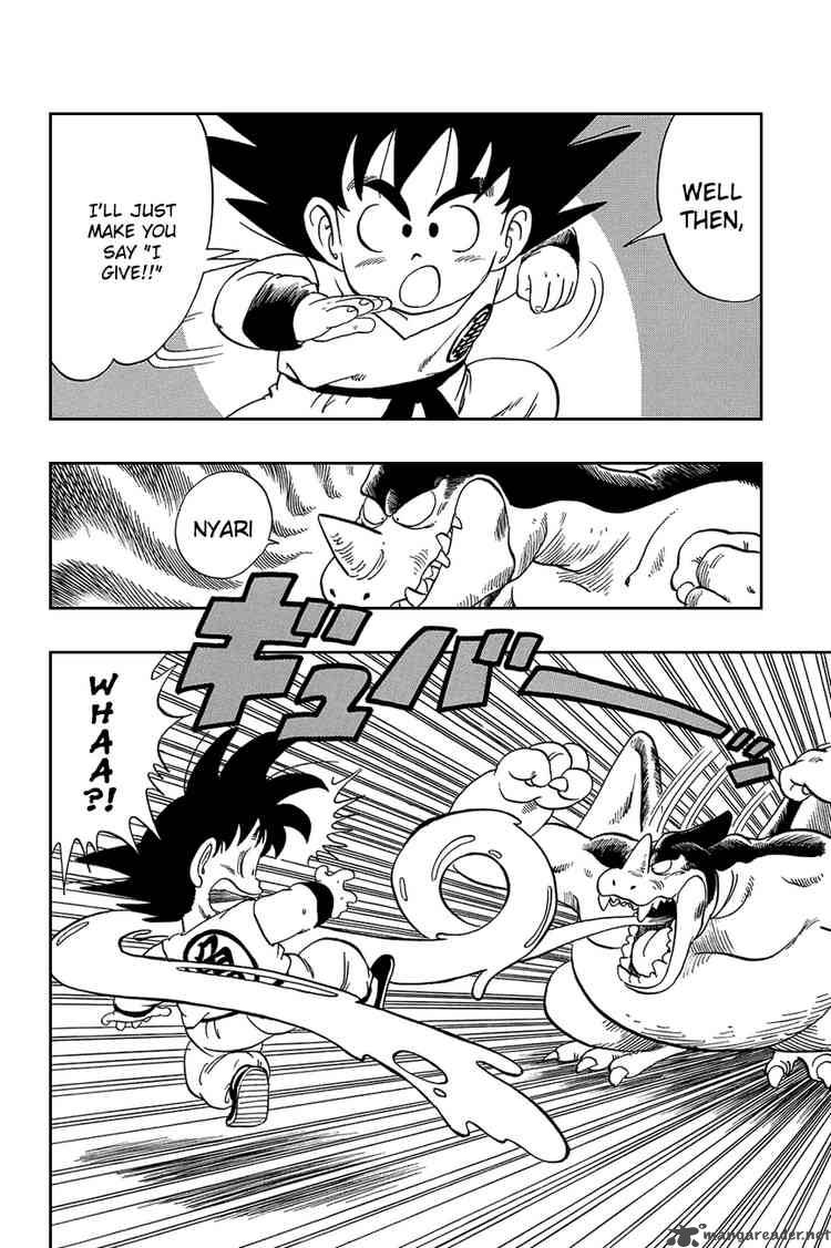 Dragon Ball 39 13