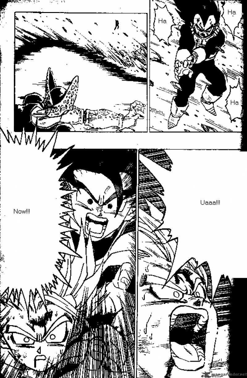 Dragon Ball 417 8