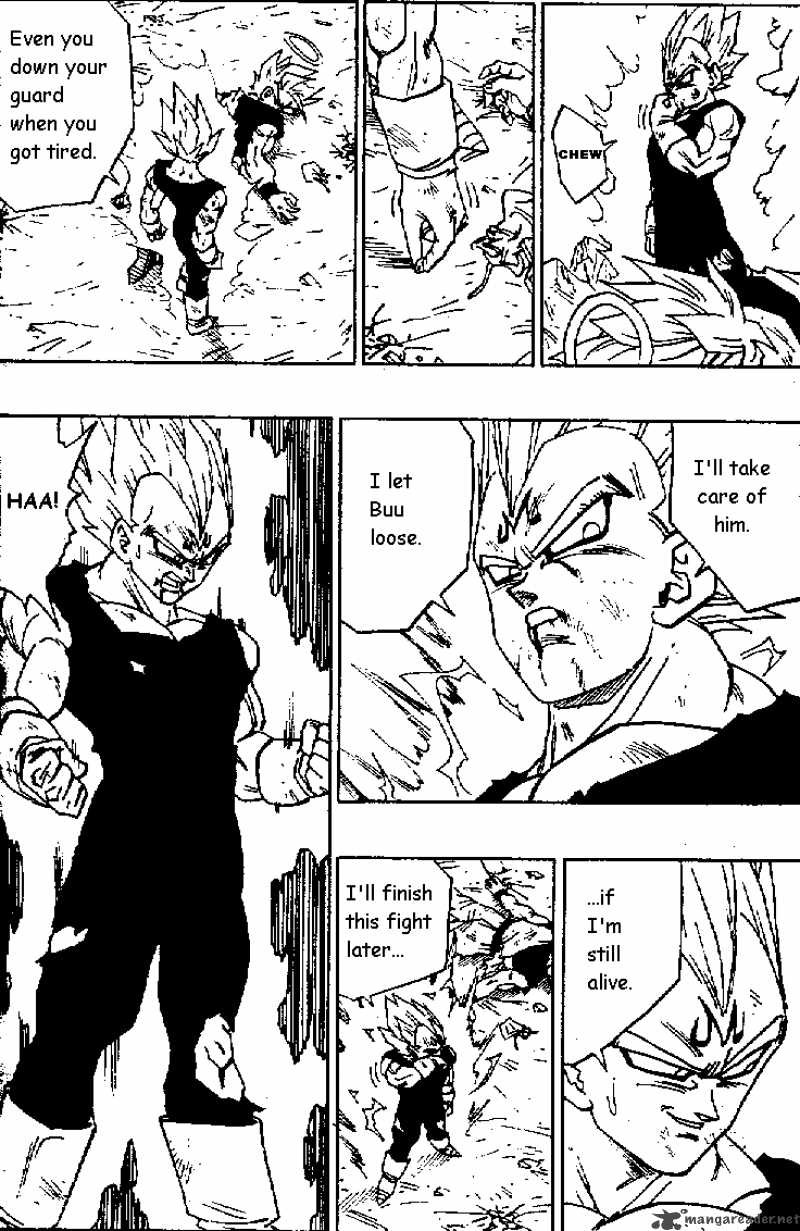 Dragon Ball 463 5