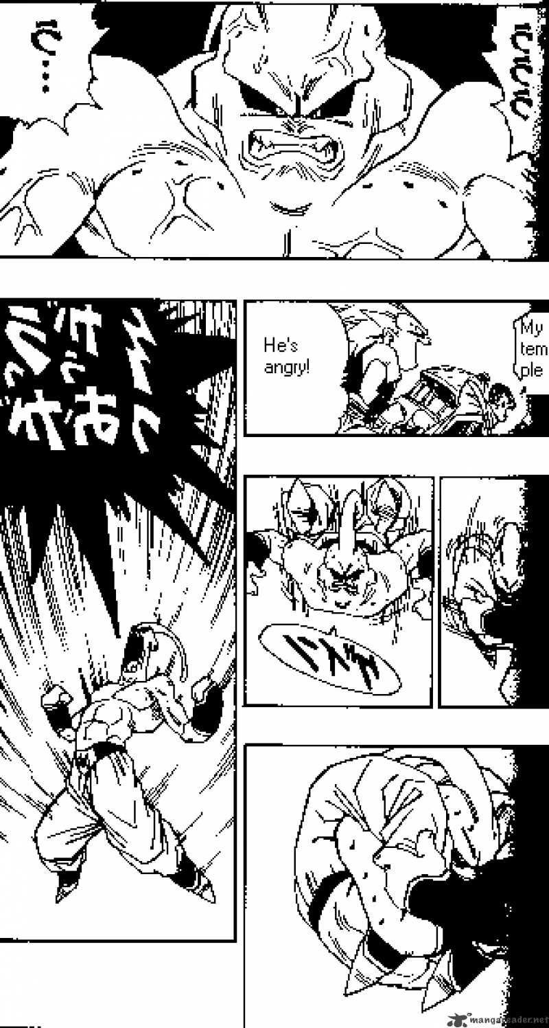 Dragon Ball 495 5