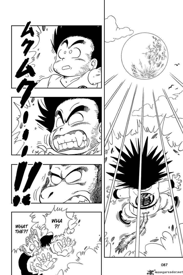 Dragon Ball 50 13