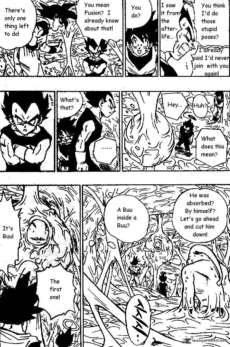 Dragon Ball 507 13