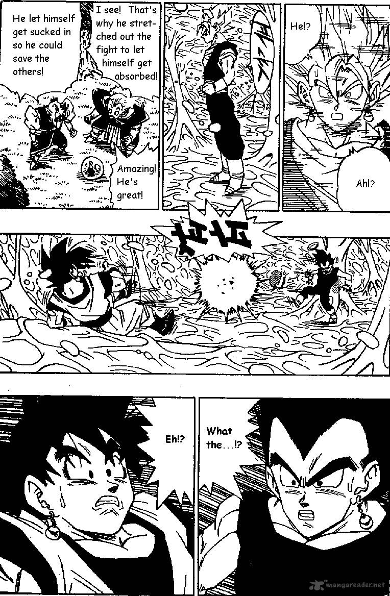 Dragon Ball 507 6