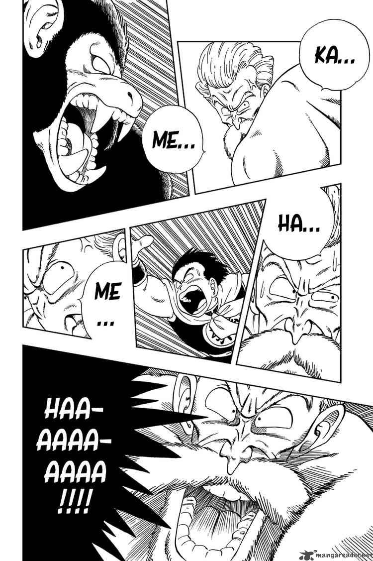 Dragon Ball 51 11