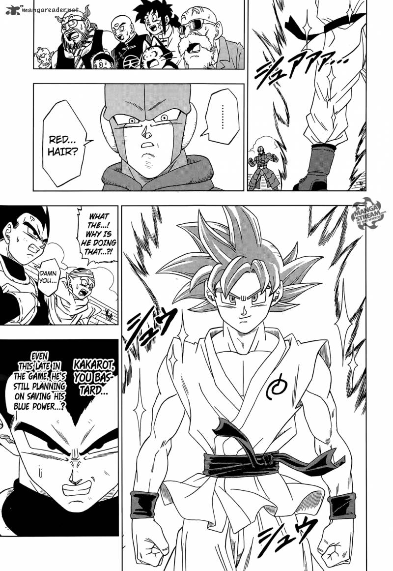 Dragon Ball Super 13 15