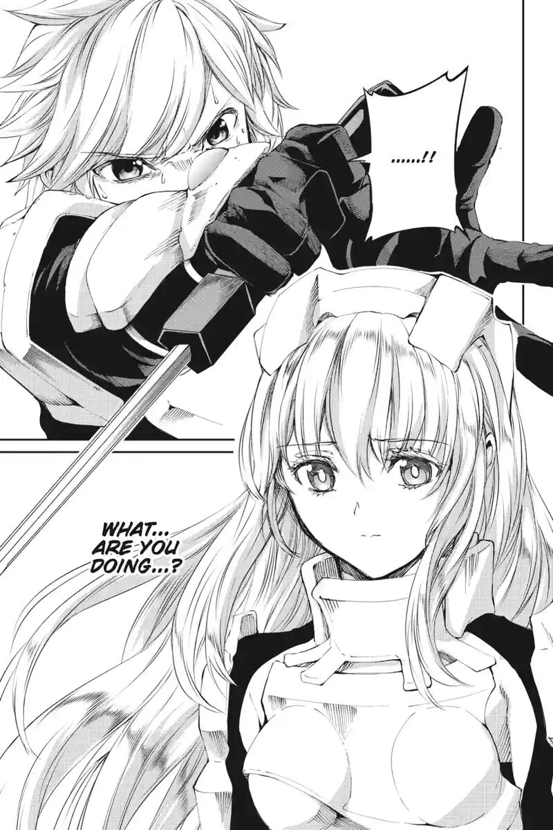 Dungeon Ni Deai Wo Motomeru No Wa Machigatte Iru Darou Ka Gaiden Sword Oratoria 205 2