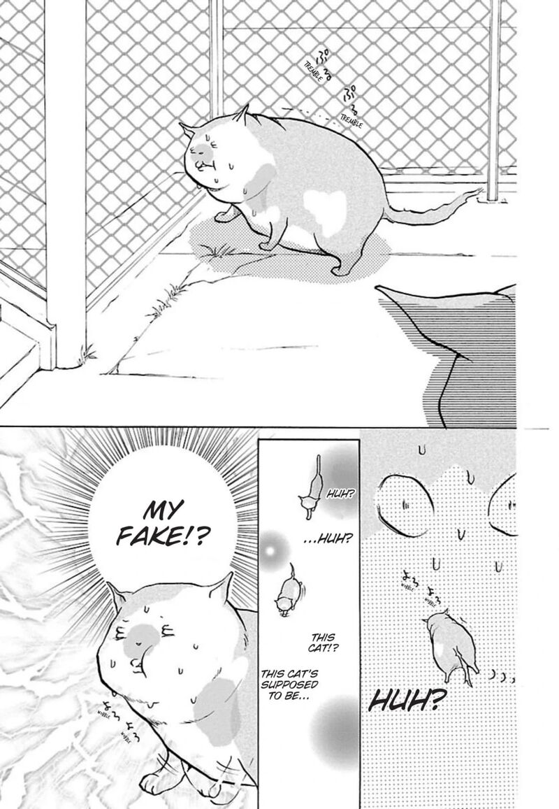 E No Shima Waikiki Shokudou 35 19