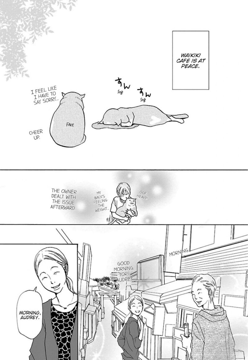 E No Shima Waikiki Shokudou 35 23