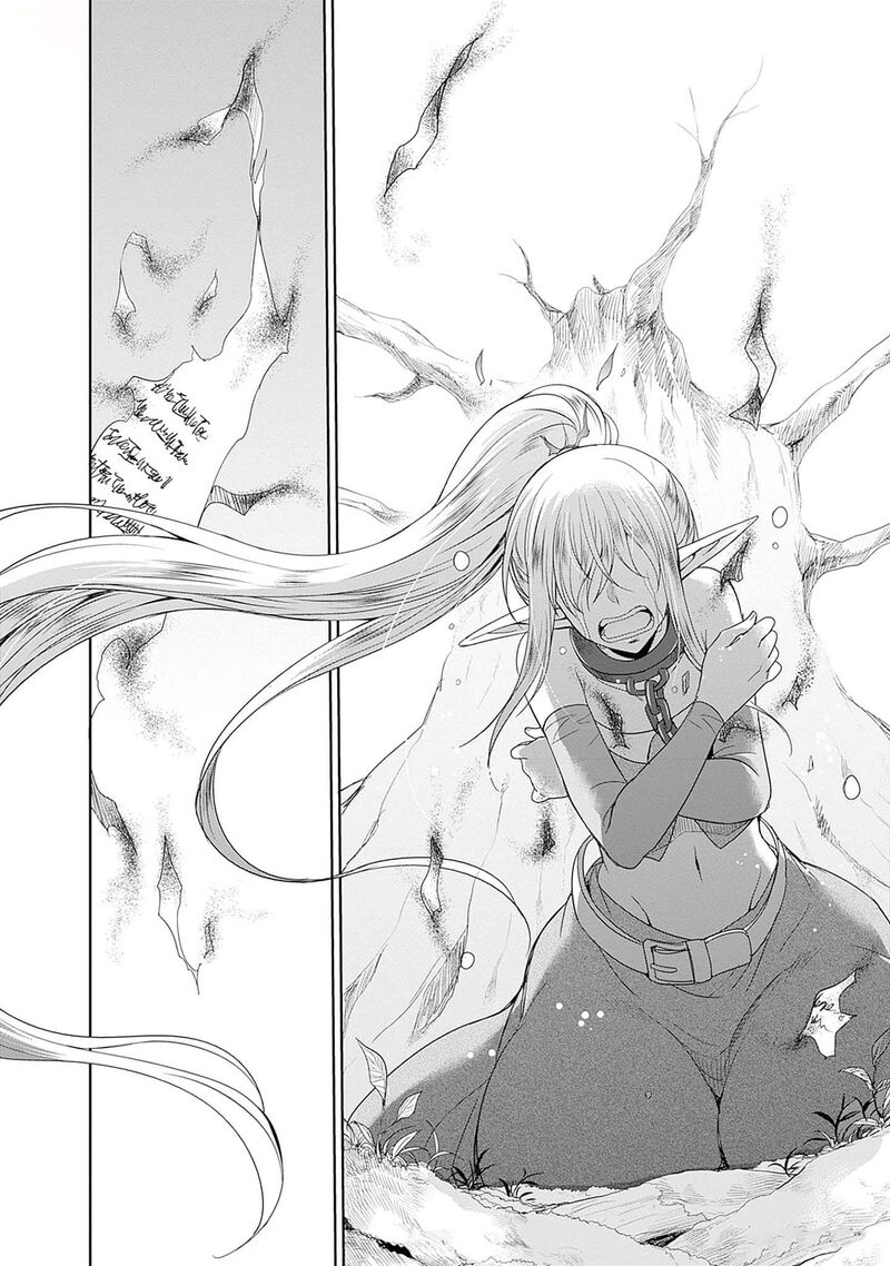 Elf Dorei To Kizuku Dungeon Harem Isekai De Netotte Nakama Wo Fuyashimasu 12 13