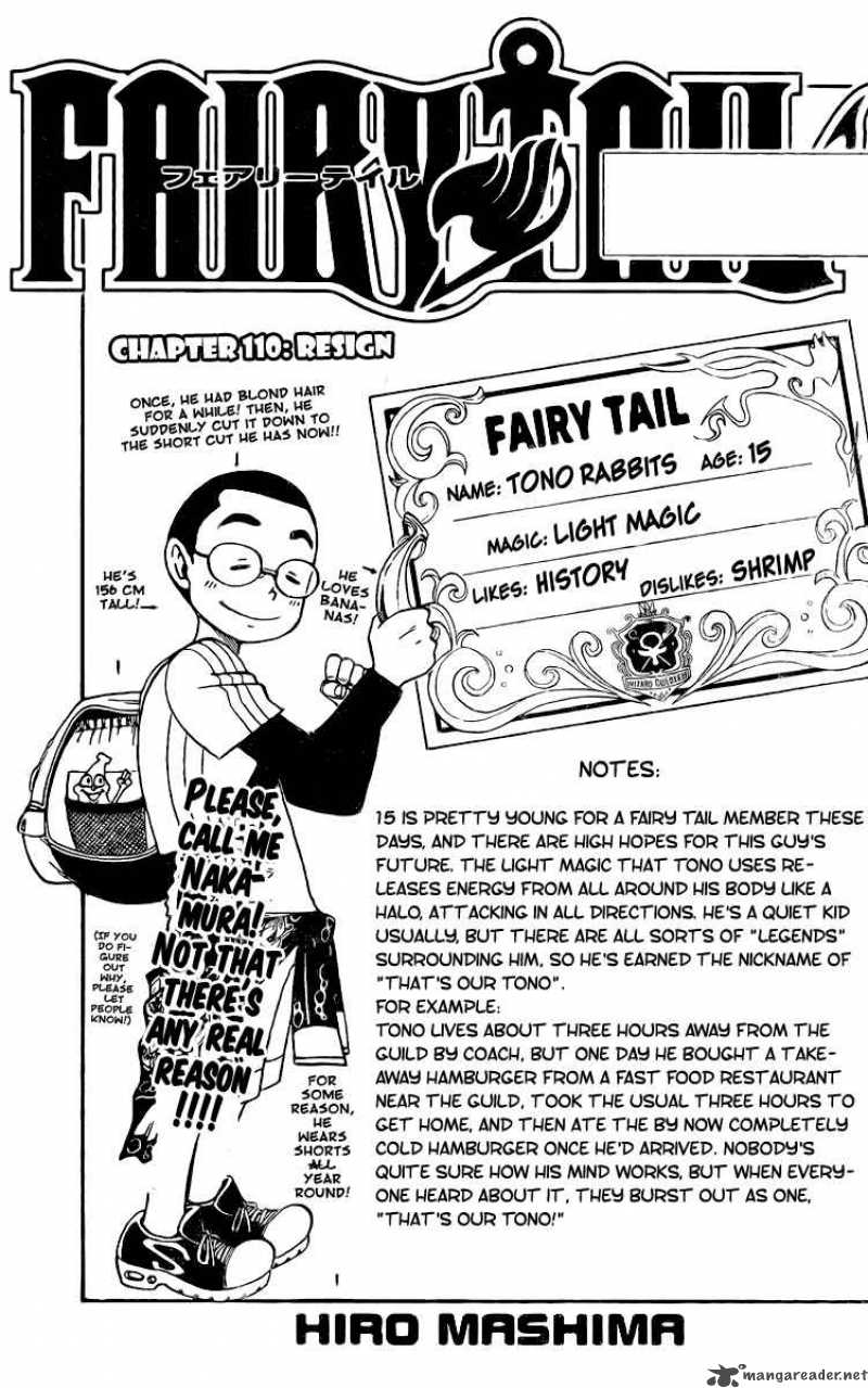 Fairy Tail 110 2