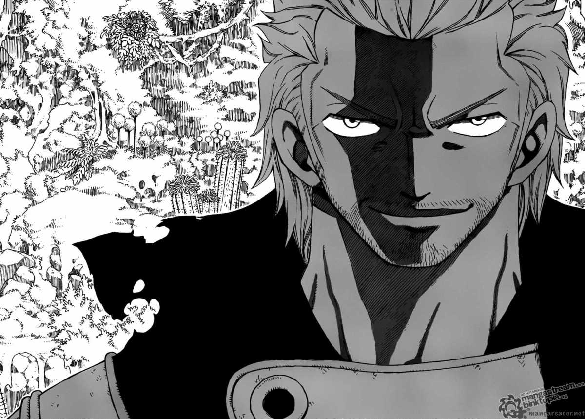 Fairy Tail 204 18